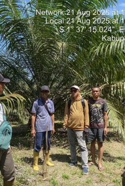 berita-rekomendasi-foto