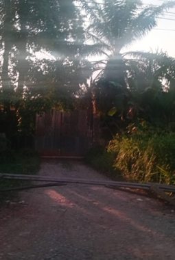 berita-rekomendasi-foto